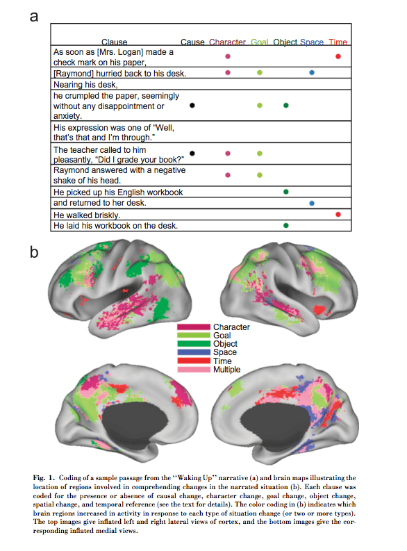 IRM de cerebro en lectura