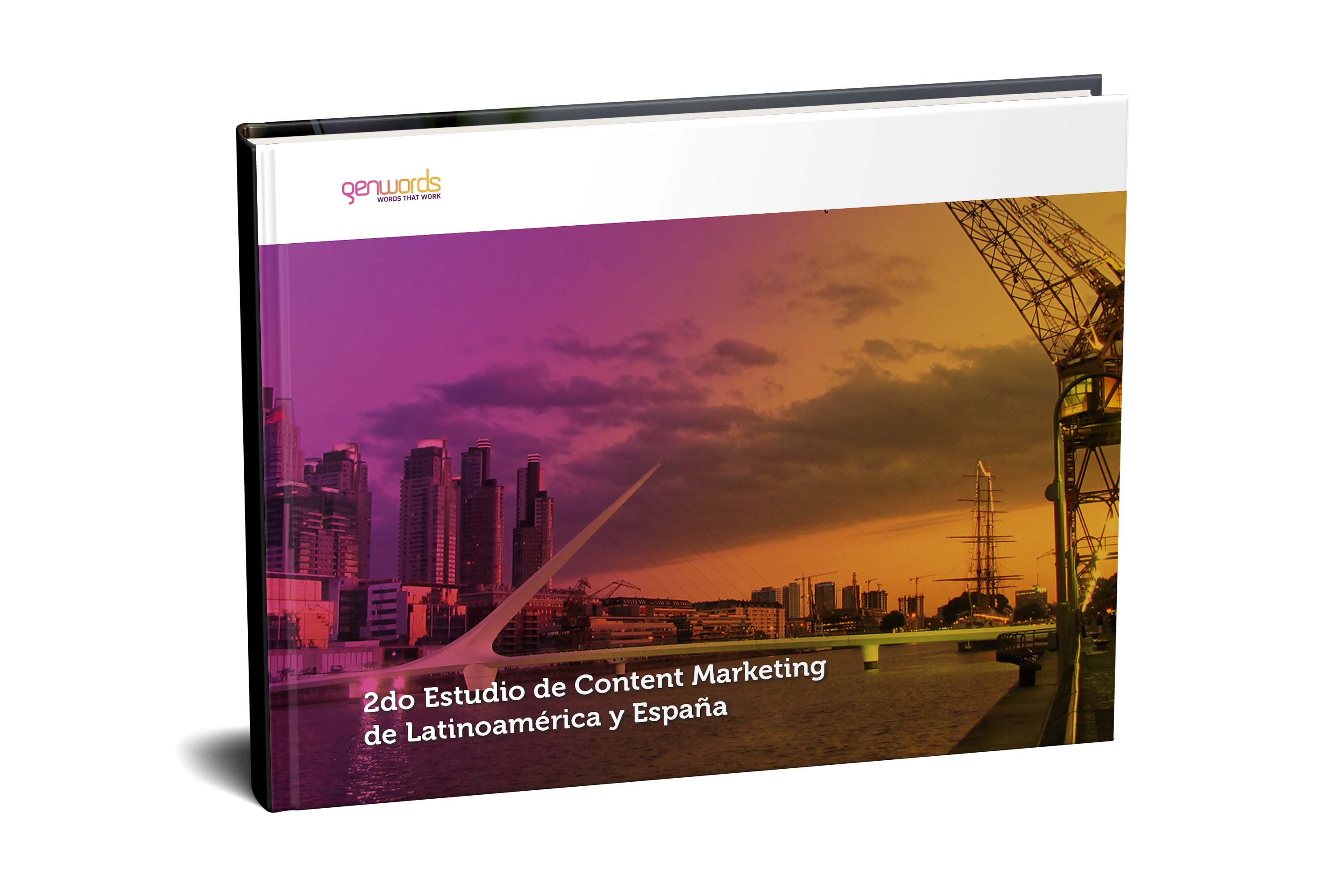 [cml_media_alt id='11513']estudio de content marketing[/cml_media_alt]